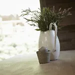 Chalet Auhäuslalm Maria Alm am Steinernen Meer