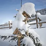 Auhäuslalm Chalet *