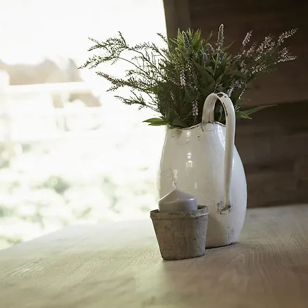 شاليه Auhaeuslalm ماريا ألم ام شتاينر