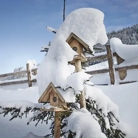 Auhäuslalm Chalet *
