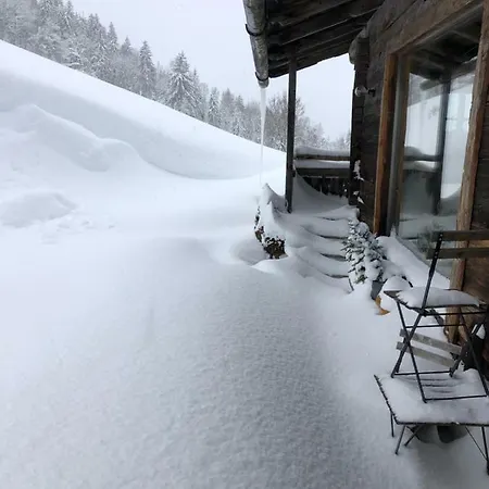 Chalet Auhäuslalm Maria Alm am Steinernen Meer