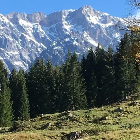 Auhaeuslalm شاليه ماريا ألم ام شتاينر