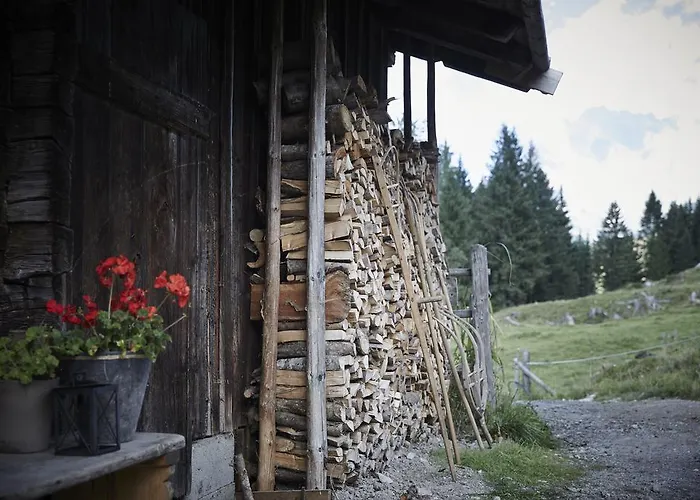 Auhaeuslalm Chalet