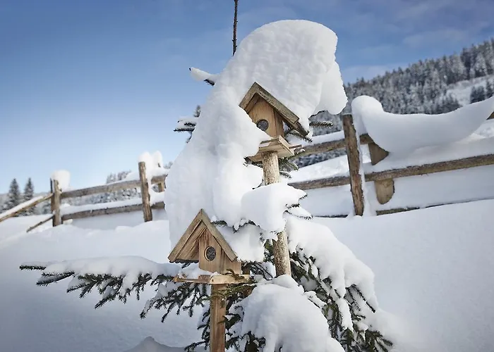 Auhaeuslalm Chalet *