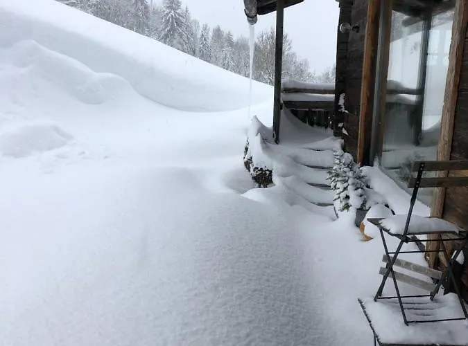 Chalet Auhaeuslalm Maria Alm am Steinernen Meer